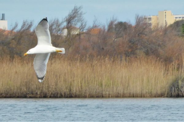 -0a-upRRWdzgHzLRzF_X4WPKUMk@900x592