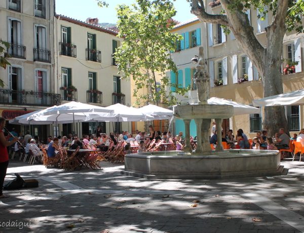 10651796253_b05123da42_b