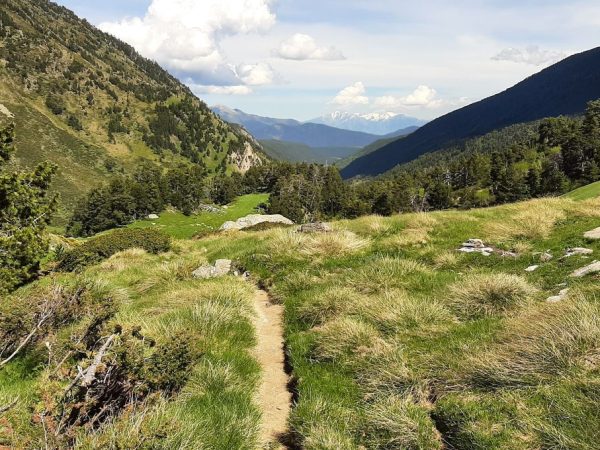 1200x680_sc_20200521_160514