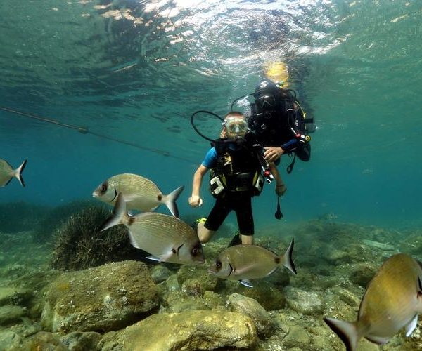 1a3f3f7c031b37bdac54092aa046049a