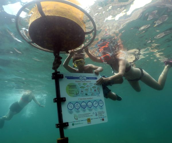 2020-sentier-sous-marin-PMT-panneau-immerge-92