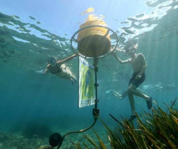 216675680_4124337040976034_7173296730775790671_n