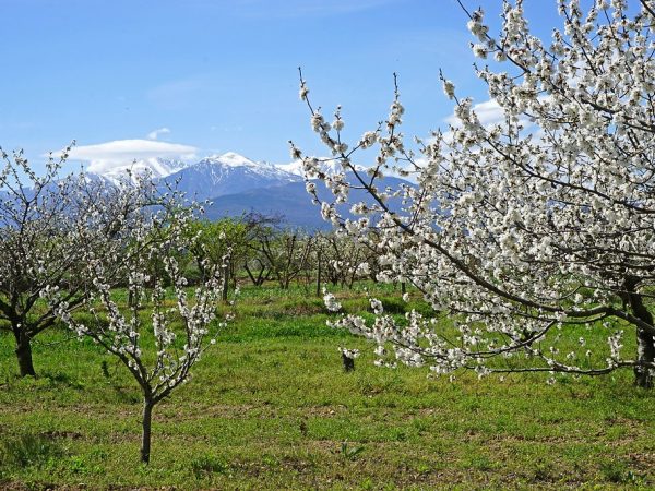 25944631030_06c53ab5ba_b