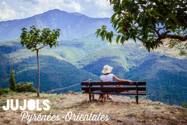 39742731_877952725742103_842507755515281408_o