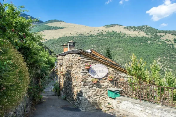 39811125_877953245742051_7166042453932244992_o