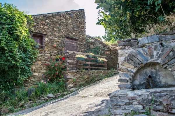 39900065_877953232408719_4108530775794647040_o