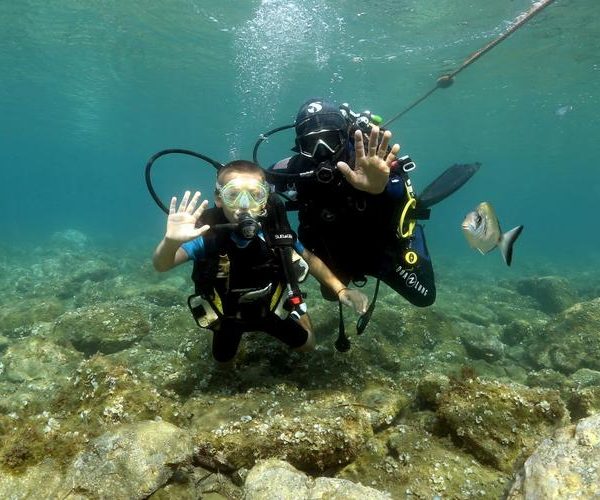 7a8a57f53a82cacbb819c250df29bd78