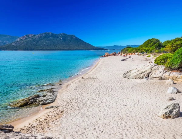 8dbfd19b3dee15de97b59466e4940188