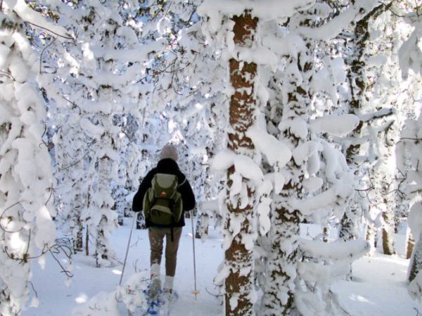 Capcir©DR-e1641405306377