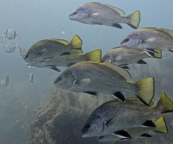 DSC04755_DxO_DxO-e1568903836865