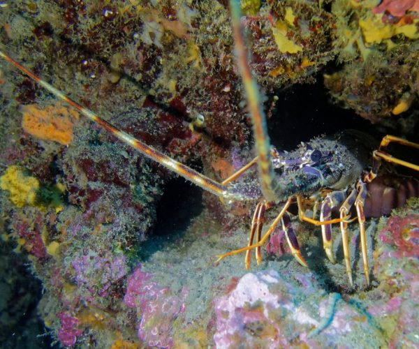 DSC04775_DxO_DxO-1200x761