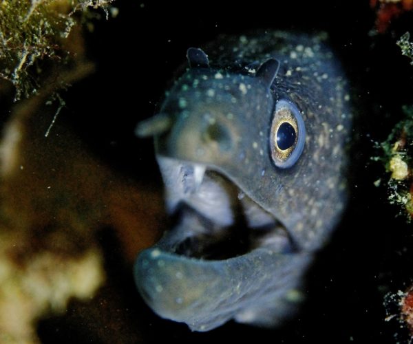 DSC_3442_DxO_DxO-1200x795