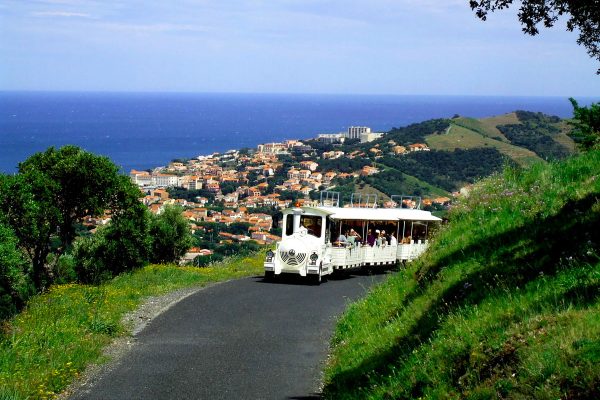 Petit-trains-Banyuls-03