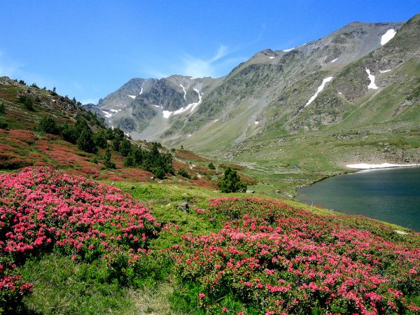 Visuel-3-Capcir-2023