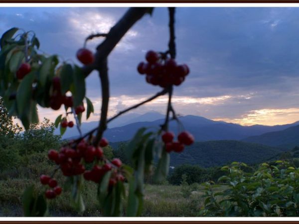 b4b489c0da6a452e9d7df8fe6946c40a--le-pays-languedoc-roussillon