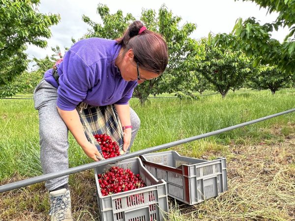 f5adf928a0aa-falda1-jpg