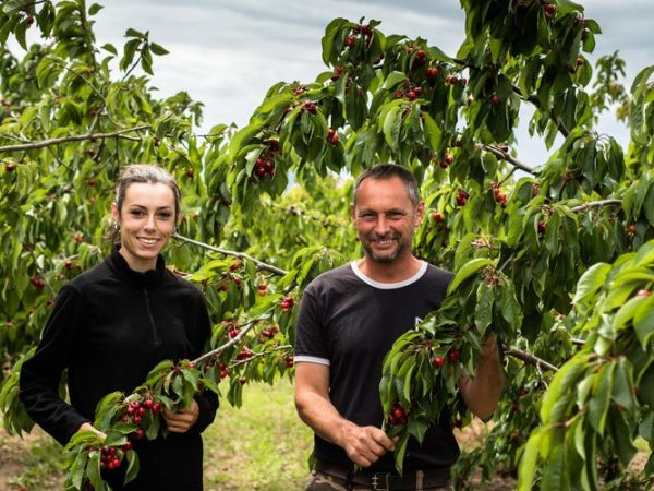 Agriculteur - Frère et soeur arboriculteurs à Céret, production de cerises