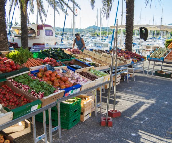 marche-argeles-port-s-ferrer-1920x960